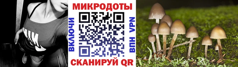 Псилоцибиновые грибы Psilocybine cubensis  купить наркоту  Йошкар-Ола 